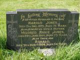 image of grave number 648155
